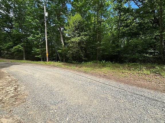 3rd image of LOT 1B Forest Ln