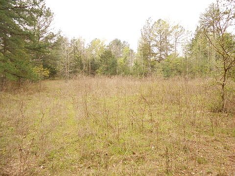 4th image of 1686 County Road 2125
