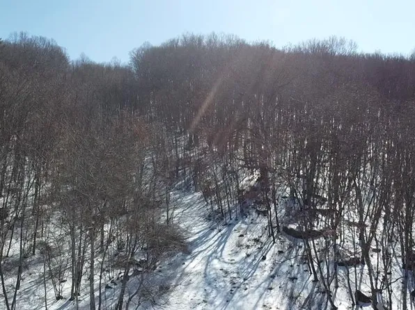 440 Kegley Trestle Rd, Princeton, WV 24740