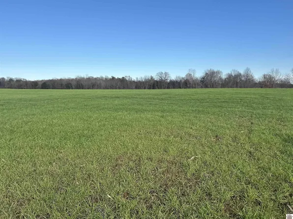 6 Mayfield Ln, Almo, KY 42020