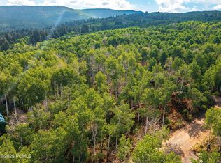 2919 Green Briar Way #543, Heber City, UT 84032