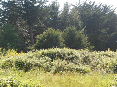 170 Shore Cliff Dr, Crescent City, CA, 95531