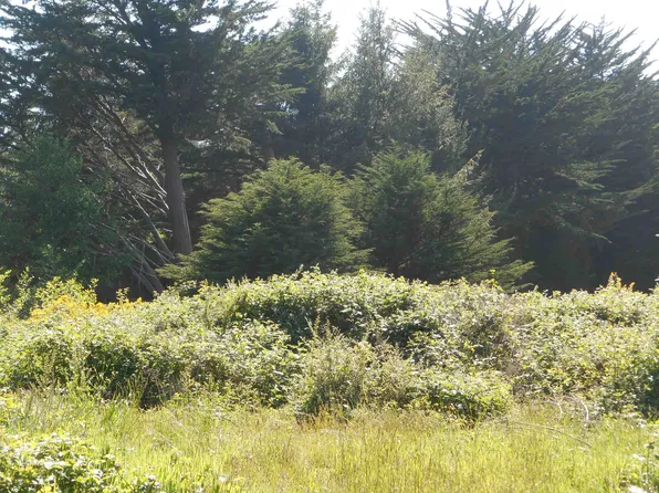 170 Shore Cliff Dr, Crescent City, CA 95531