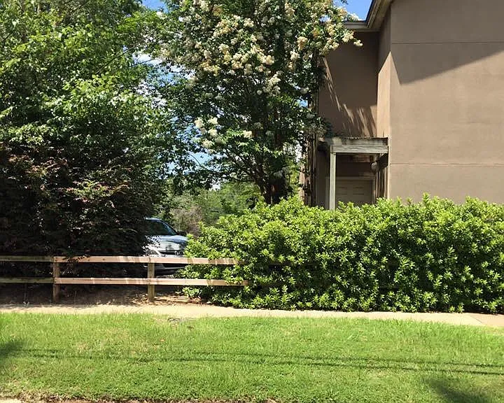 W Alabama Ave — Photo 8