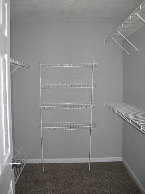 2nd image of 616 Lory Ln