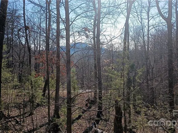 108 Mountain Brook Trl, Nebo, NC 28761