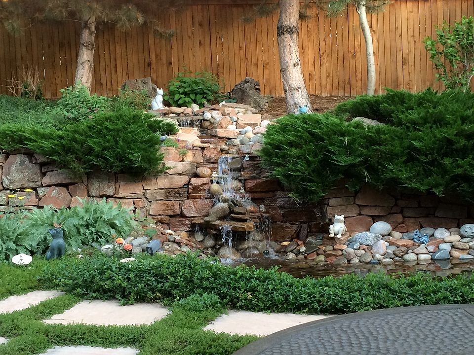 Backyard oasis
