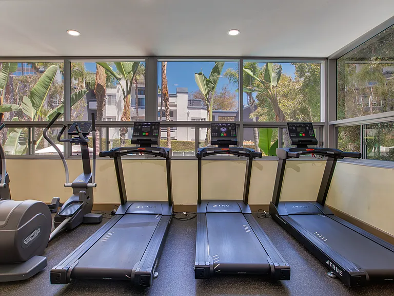 From cardio to strength, everything you need is here.