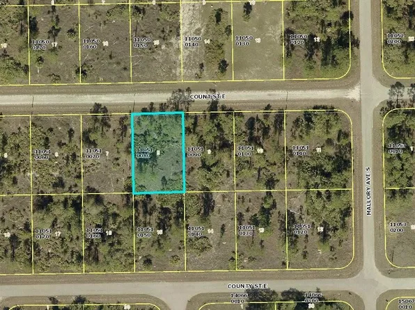 1224 Count St E, Lehigh Acres, FL 33974