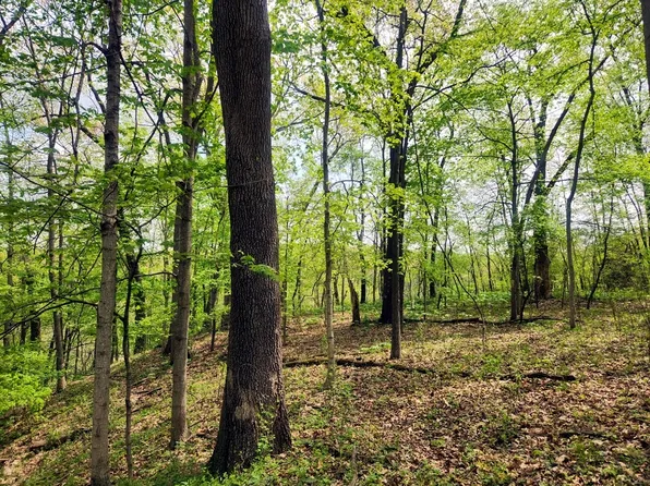 1659 Jasper Ct, Varna, IL 61375