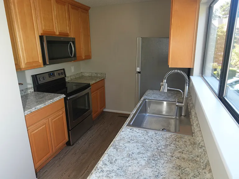 2206 Hermit Thrush Ln — Photo 11