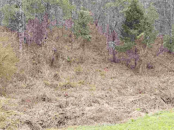 2nd image of TRACT 2 Bruce Ogle Way