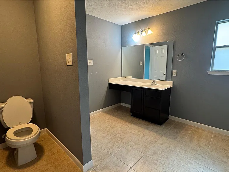 18703 Brown Redbud Ct — Photo 11