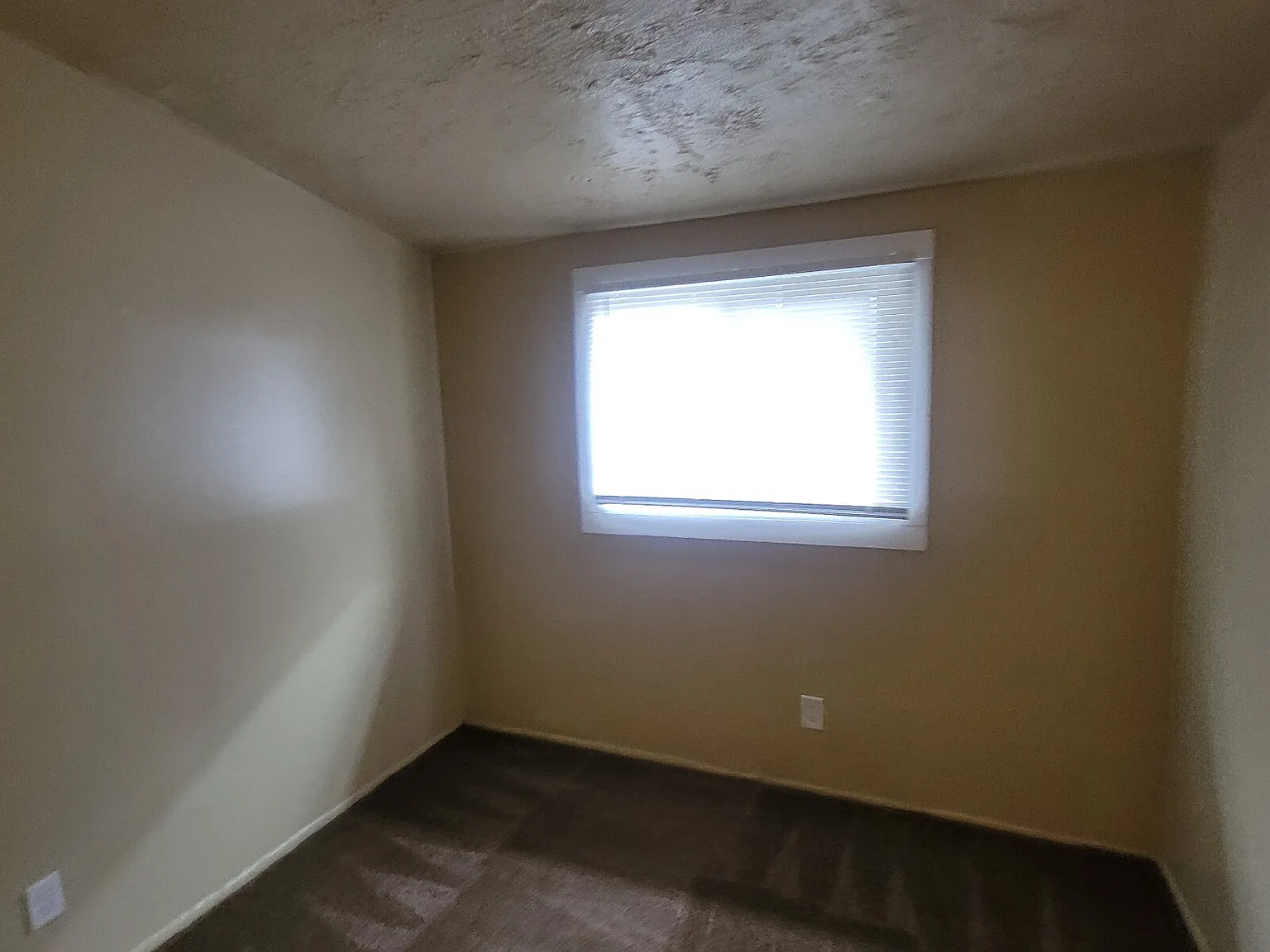 3 bed, 1.0 bath, $1,050 — Photo 3