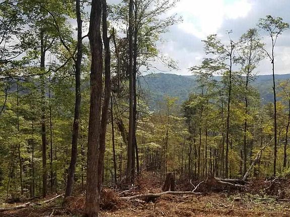 2nd image of 00 (59.32ac) War Creek Rd