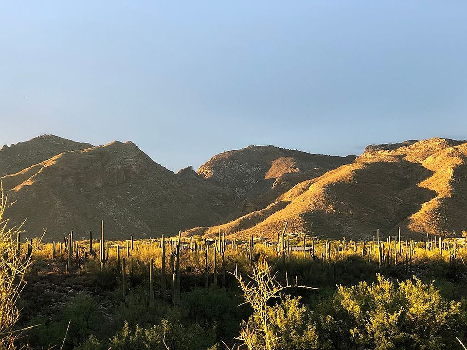 View North over Catalinas