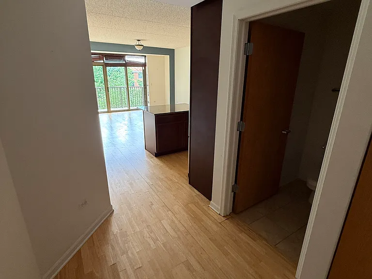 1250 S Indiana Ave #1013 — Photo 5