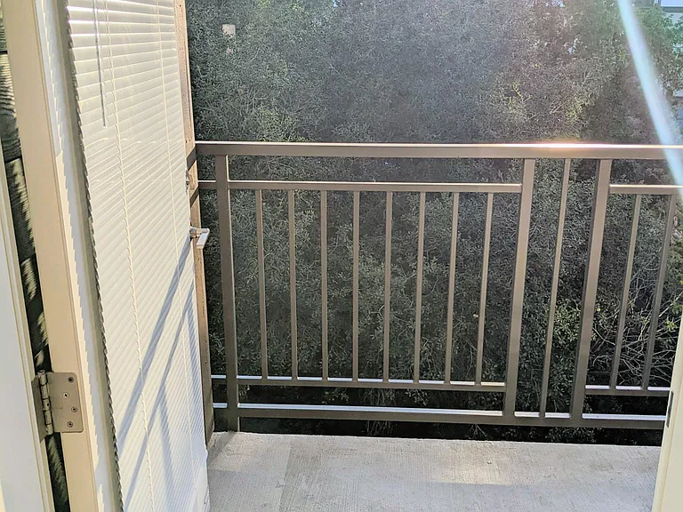 View from patio attached to master bedroom, overlooking the gorgeous greenery in the San Tomas Aquino creek, nicely tucked away from the not-so-far El Camino Real.