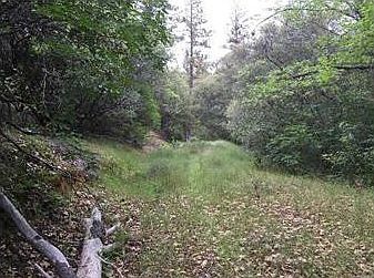 1st image of Ponderosa Way
