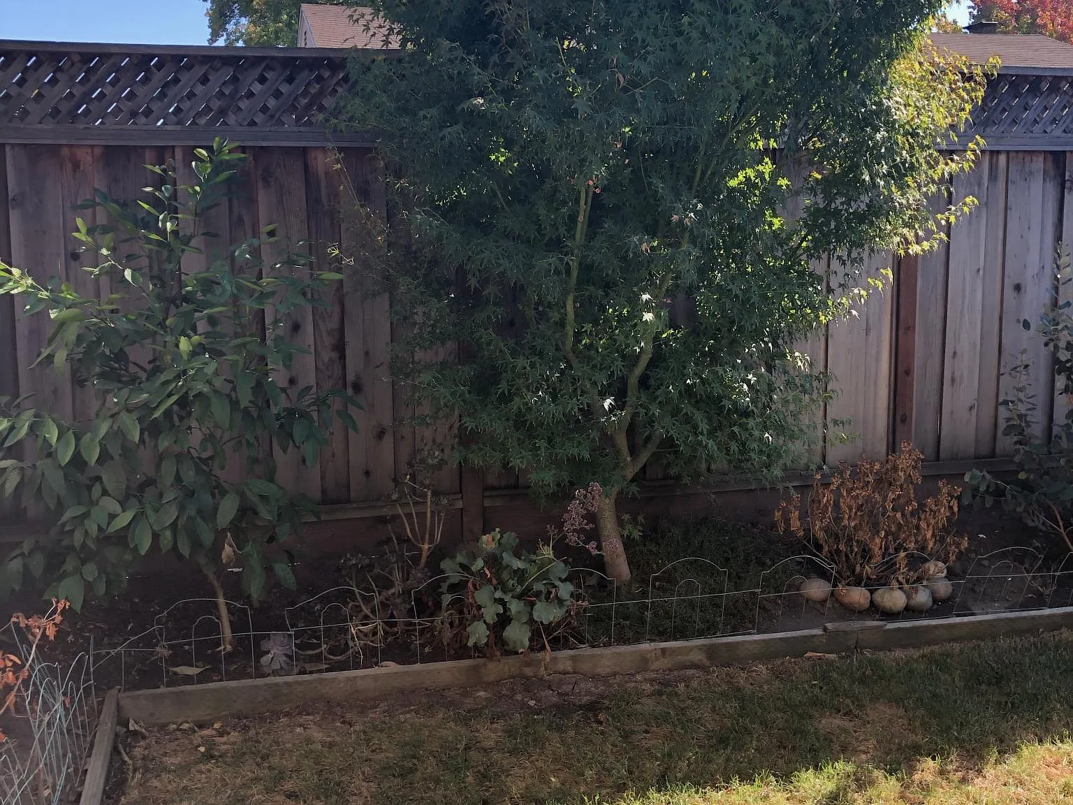Sunny Vista Dr, San Jose — Photo 1