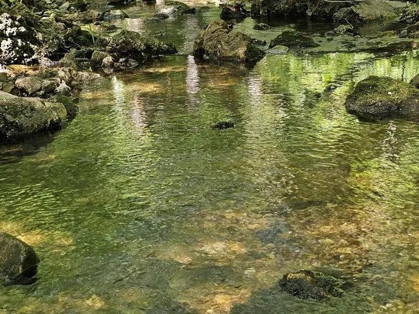 000 E 490th Road, Bolivar, MO 65613