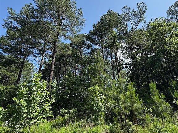 5th image of 87 Blue Maple Trail
