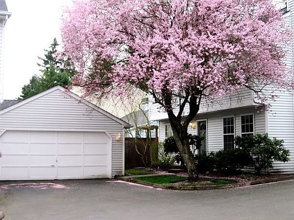 Home in the spring time.