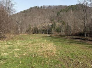 295 Wilmoth Dr, Swiss, WV 26690