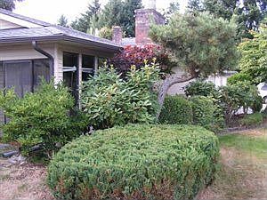 1st image of 1805 Hanover Dr SE