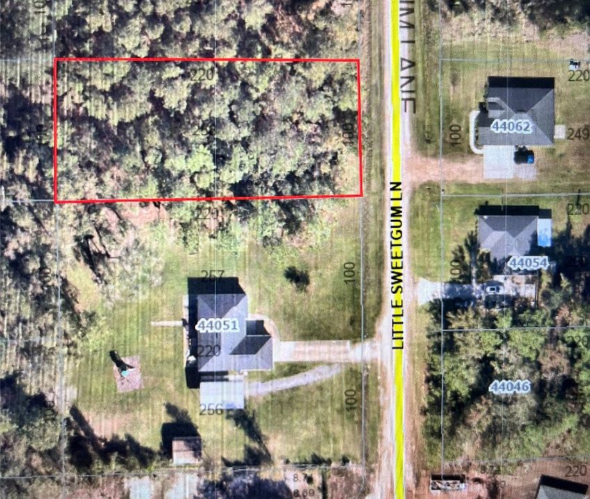 2nd image of Little Sweet Gum Ln