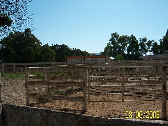 riding arena right off from the barn