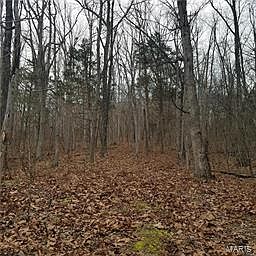 1st image of 0 Buck Mountain Rd
