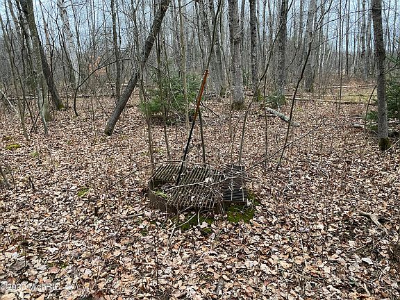 5th image of 17256 Bigge Rd