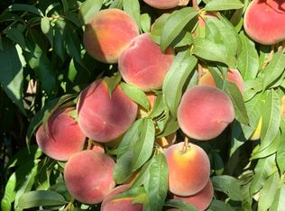 S Cressy Way, Livingston, CA 95334