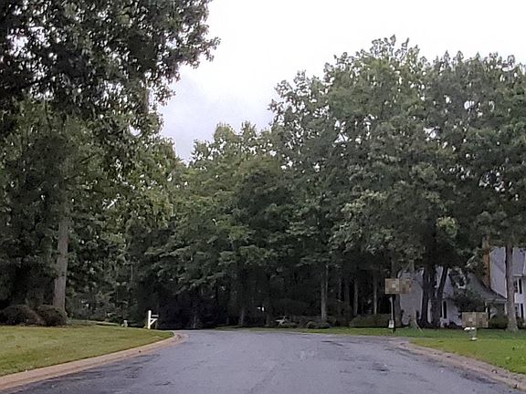 5th image of 14231 Kenmont Dr