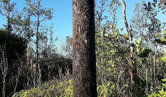 3rd image of 34th Ave Lot 71