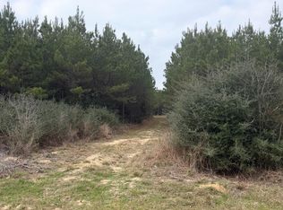 10489 Us Highway 190 E, Livingston, TX 77351