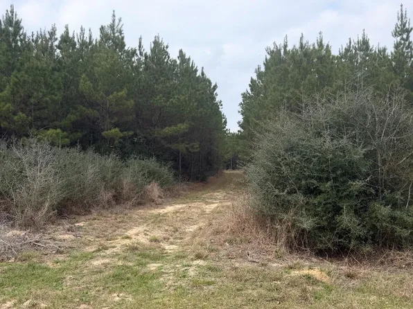 10489 Us Highway 190 E, Livingston, TX 77351