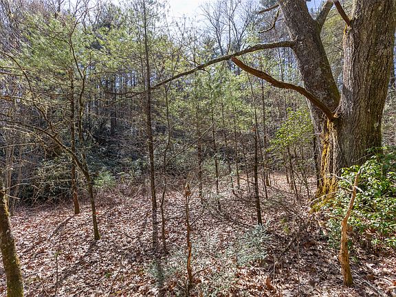 2nd image of TBD Flat Mountain Road