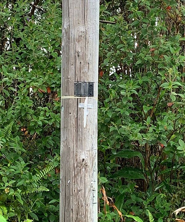 1st image of 11-2731 Hibiscus St Lot 7668
