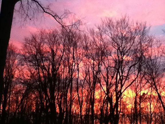 From the back deck
