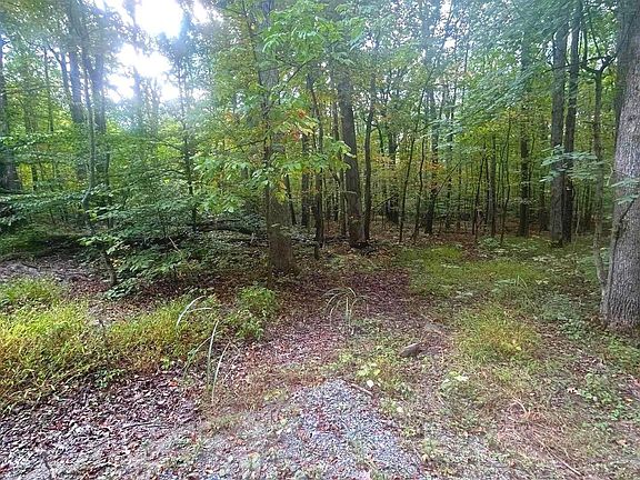 3rd image of Cliff Ln
