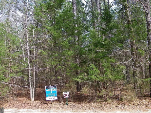 LOT 30 Benjamin Brown Ct Lot 30, Elberton, GA 30635