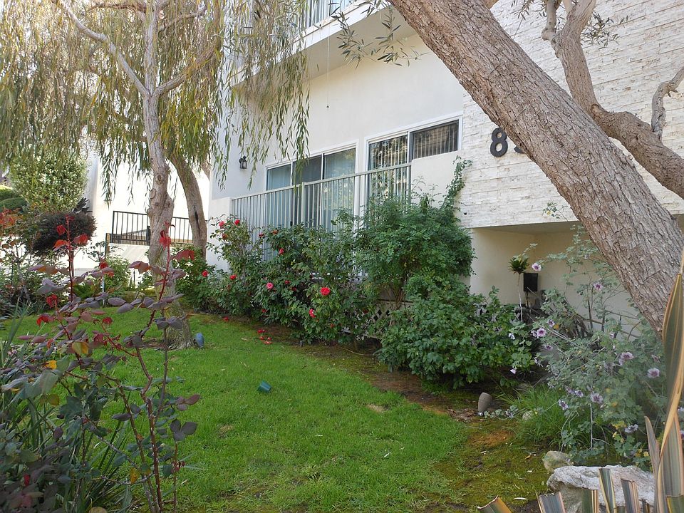 Side view of front yard