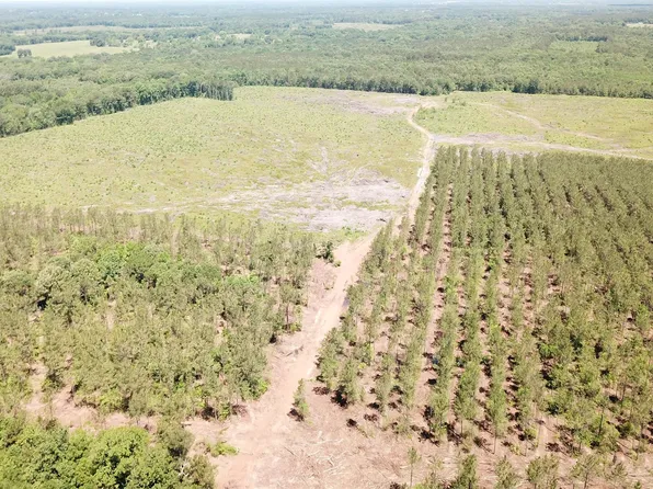 Off Cres #4290, Simms, TX 75574