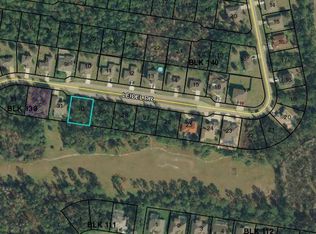 24 Leidel Dr, Palm Coast, FL 32137