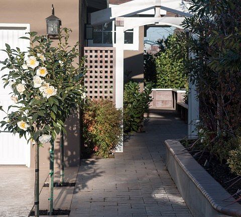 5th image of 3951 Forest Hill Ave