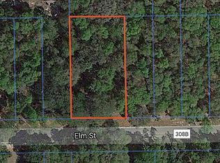 119 E Pinellas St, Palatka, FL 32177