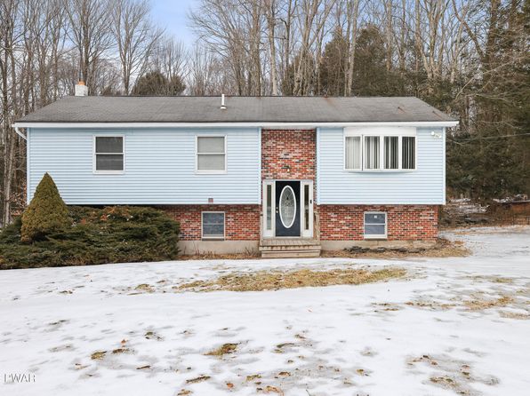 131 Daffodil Dr, Newfoundland, PA 18445