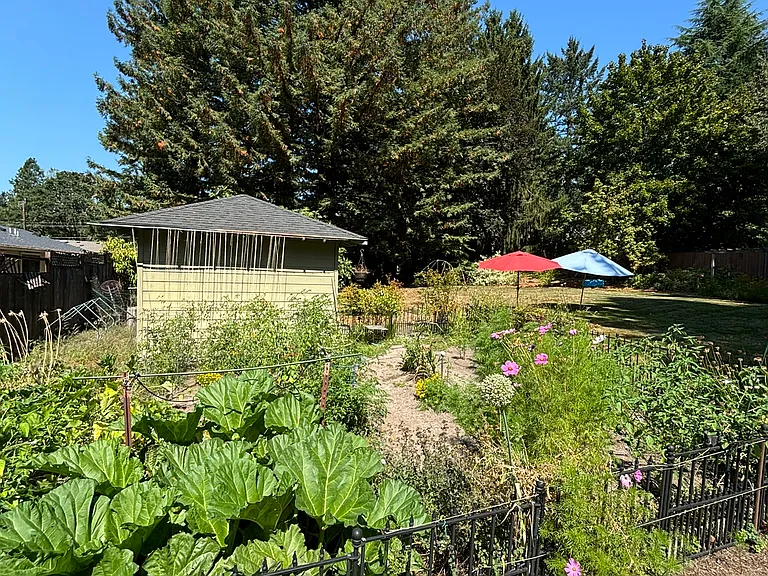 garden area in backyard looking north back towards the house past the garden shed